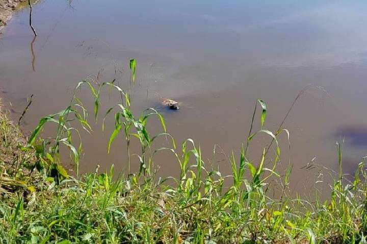 Em Rondônia: Homem é encontrado morto em rio