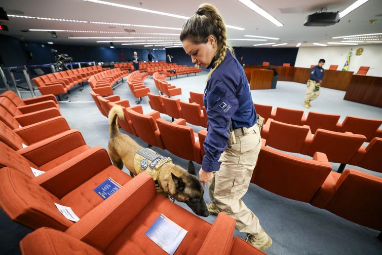 Advogado provoca tumulto e é detido no julgamento sobre trama golpista