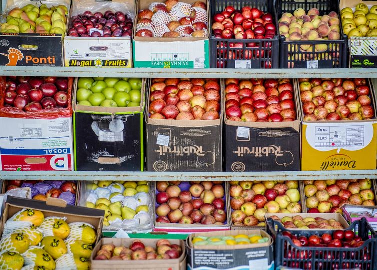 Em Paris, autoridades pedem investimentos globais no combate à fome