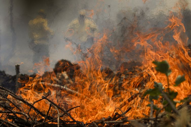 Número de envolvidos em conflitos por terra salta para 900 mil em 2024