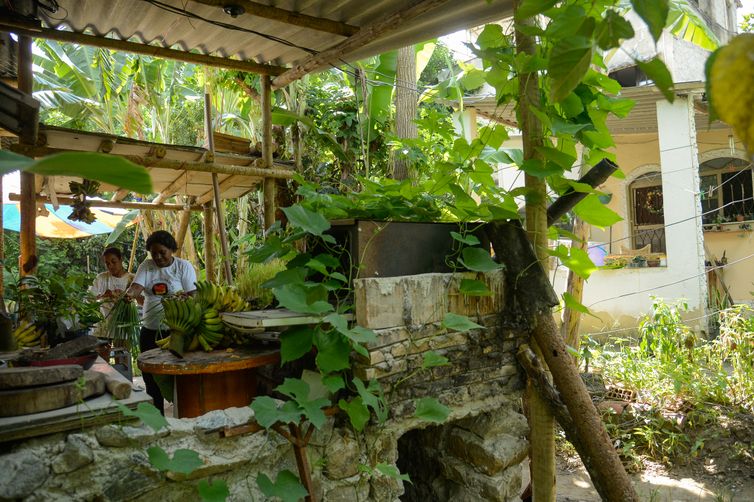Seis em cada dez quilombolas vivem em área rural, revela Censo do IBGE