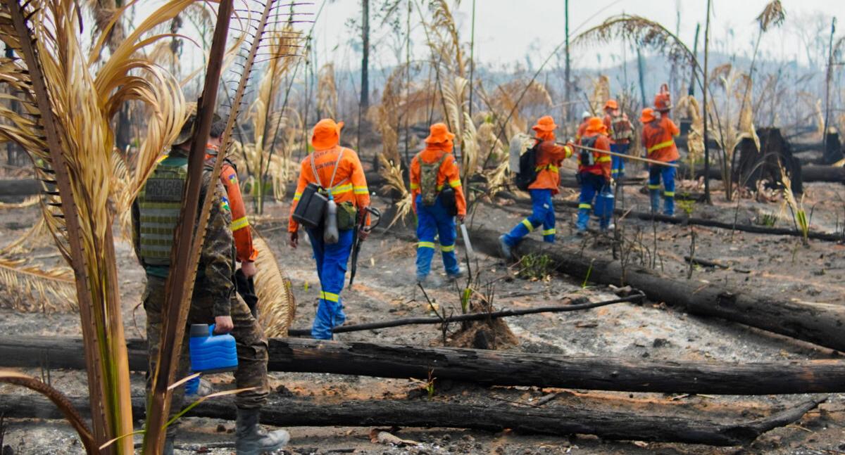 Rondônia lidera ranking nacional com redução histórica nas queimadas