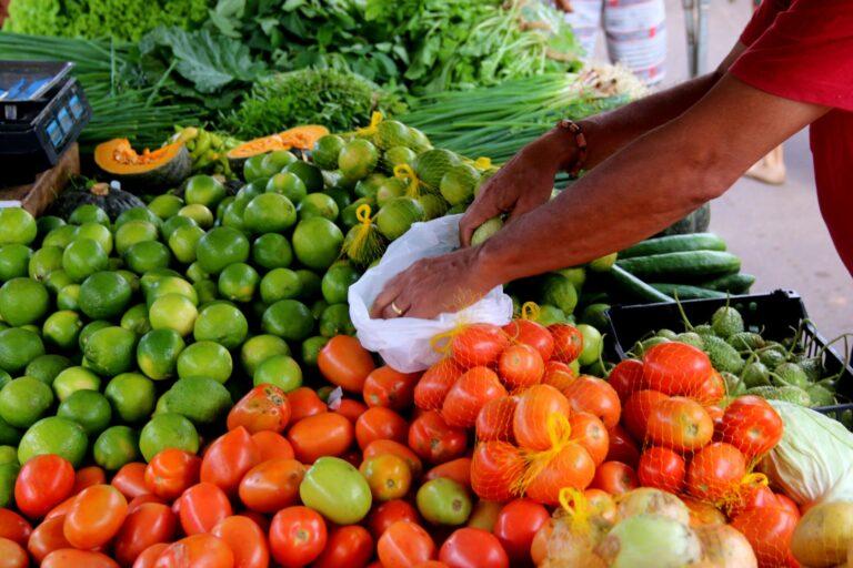 Cláudia de Jesus pede prorrogação do prazo de entrega do Programa de Aquisição de Alimentos