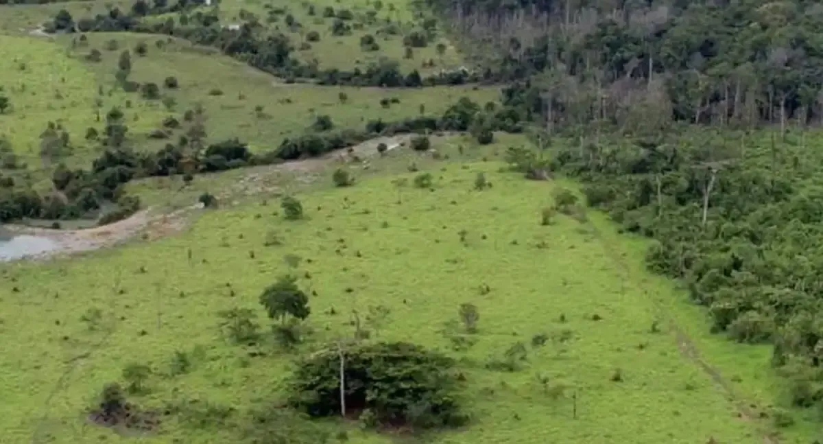 Georreferenciamento de imóveis rurais é prorrogado para 2029