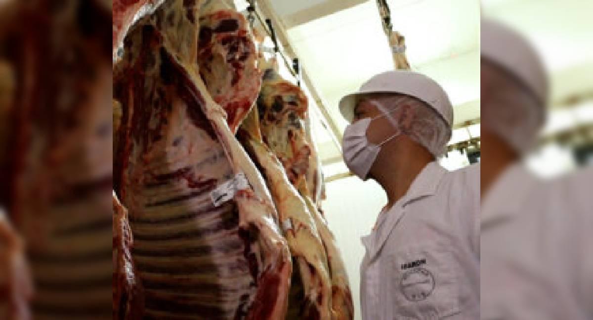 Rondônia amplia exportações de carne bovina e consolida liderança agropecuária