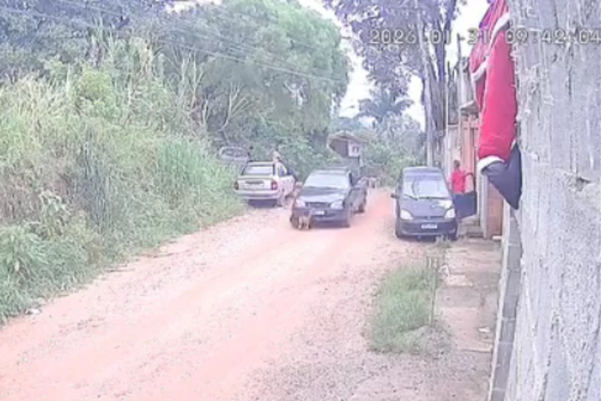 Homem é preso após atropelar e matar cachorro no interior de SP