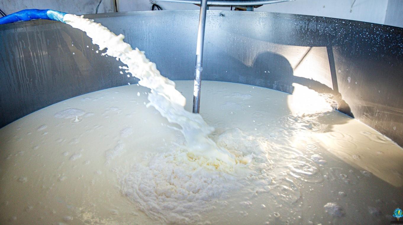 Dia Internacional do Leite destaca importância da cadeia produtiva para a economia de Rondônia